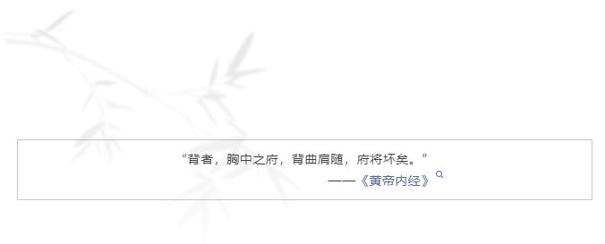image-20241206102621537